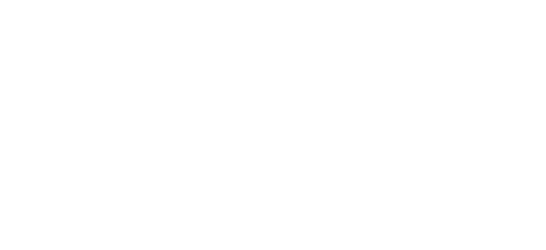BadFly