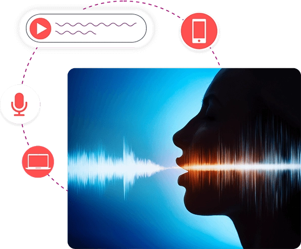 Voice Annotation Voice Annotation